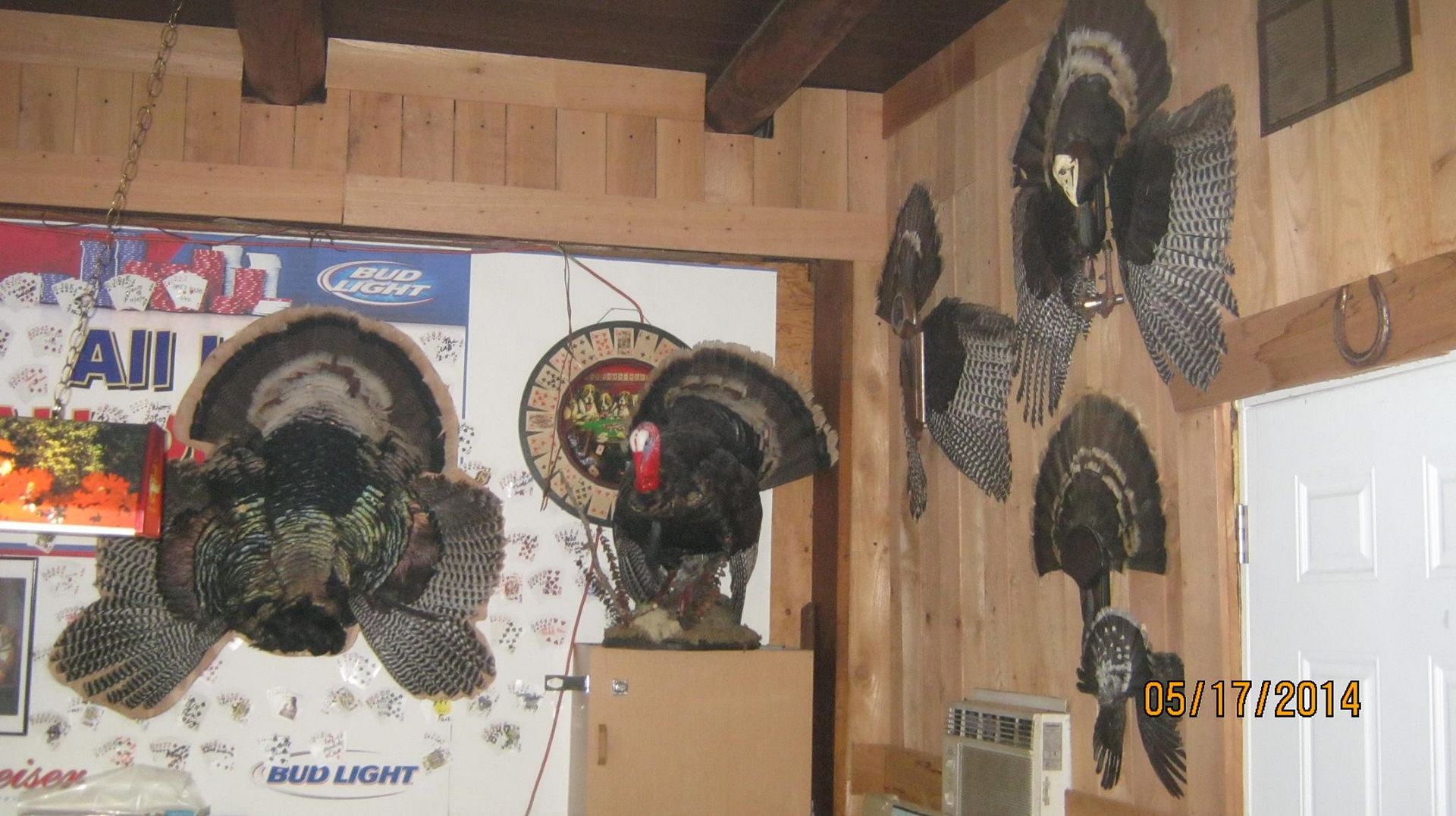 Turkey Fan, Beard, & Spur display ideas??? Texas Hunting Forum